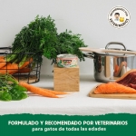 Wild Balance Barf Salmon Comida Húmeda Para Gatos con Salmon y Ternera