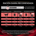 Pro Plan Veterinary Diets DM Diabetes Comida Húmeda para Gatos con Pollo