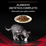 Pro Plan Veterinary Diets DM Diabetes Comida Húmeda para Gatos con Pollo