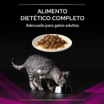 Pro Plan Veterinary Diets UR Urinary Comida Húmeda para Gatos con Salmón