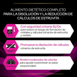 Pro Plan Veterinary Diets UR Urinary Comida Húmeda para Gatos con Salmón