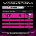 Pro Plan Veterinary Diets UR Urinary Comida Húmeda para Gatos con Salmón