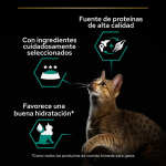 Pro Plan Adult Maintenance Comida Húmeda en Mousse para Gatos con Pollo
