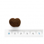 Moments-Snacks Fruta para Perro (1)
