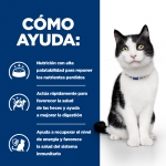 Hills Prescription Diet-PD Feline i/d (1)