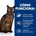 PD Feline m/d. (6)