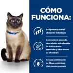 P D Feline z/d (6)