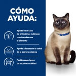 P D Feline z/d (6)