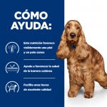 Hills Prescription Diet-PD Canine z/d Ultra (1)