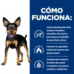 Hills Prescription Diet-PD Canine Metabolic Mini (1)