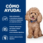 Pienso Hills Prescription Diet Gastrointestinal Biome para perros mini sabor pollo