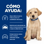 Hills Prescription Diet Derm Complet Medium pienso para cachorros