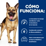 Hills Prescription Diet Gastrointestinal Biome para Perros Grandes con Pollo