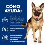 Hills Prescription Diet Gastrointestinal Biome para Perros Grandes con Pollo