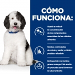 Hills Prescription Diet Urinary Care C/D Comida Húmeda para Perros con Pollo y Vegetales