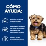 Caja Comida Húmeda HillsPrescription diet L/D para perros