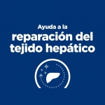 Caja Comida Húmeda HillsPrescription diet L/D para perros