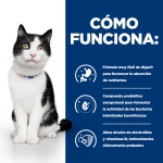 Sobres Hills i/d para gato con problemas digestivos