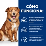 Pack de Latas Hills Prescription Diet Derm Complete para perros