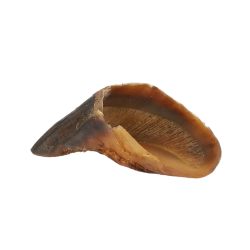 HobbitAlf Pezuña de Ternera Ahumada Snack para Perros