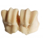 HobbitAlf Nudillo de Ternera Calcio Snack para Perros