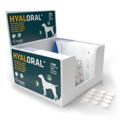 farmadiet-Condroprotector Hyaloral Razas grandes (1)