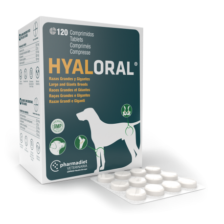 farmadiet-Condroprotector Hyaloral Razas grandes (1)