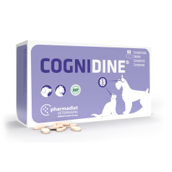 Cognidine Suplemento neurologico perros y gatos