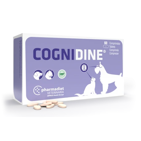 Cognidine Suplemento neurologico perros y gatos