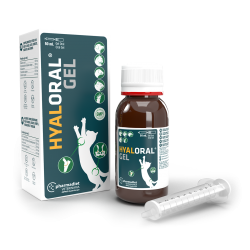 Hyaloral Gel Condroprotector Cachorros Y Gatos 50 ml