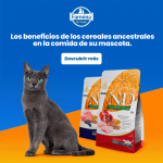 Farmina ND Cat Ancestral Grain Cordero pienso para gatos