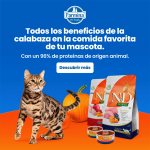 Farmina ND Cat Pumpkin Grain free Neutered Codorniz pienso para gatos