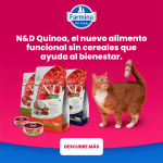Farmina ND Cat Quinoa Grain free Skin Coat Codorniz pienso para gatos