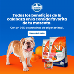 Farmina ND Dog Pumpkin Grain free Medium Maxi Cordero pienso para perros