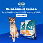 Farmina ND Dog Ocean Pumpkin Mini Bacalao pienso para perros