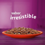 Whiskas Selección de Carnes Comida Húmeda en Salsa para Gatos MEGAPACK 38+10 Gratis