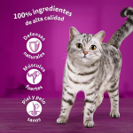 Whiskas Selección de Pescados Comida Húmeda en Salsa para Gatos MEGAPACK 38+10 Gratis