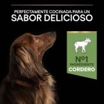 PRO PLAN SENSITIVE DIGESTION Pienso para Perros Mini con Cordero