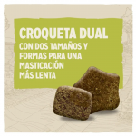Purina Dog Chow Adult Pienso para Perros con Cordero