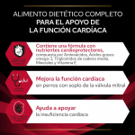 PRO PLAN VETERINARY DIETS CC CardioCare Pienso para Perros