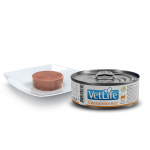 Farmina Vet Life Cat Convalescence dieta húmeda para gatos 12x85grs