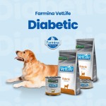 Pack de latas Farmina Vet Life Natural Diet Diabetic para perros