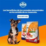 Farmina ND Dog Ancestral Grain light Medium Maxi pienso para perros