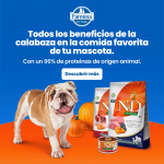 Farmina ND Dog Pumpkin Pollo comida húmeda para perros 6x285grs