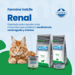 Farmina vet life dog renal dieta para perros