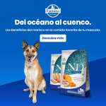 Farmina ND Dog Ocean Low Grain Maxi Bacalao pienso para perros