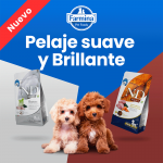 Farmina ND Brown pienso para perros minis de Cordero y Spirulina