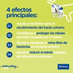 Virbac Feluro Suplemento Urinario para Gatos