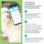 Comedero Automático Microchip SureFeed® Connect