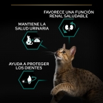 Purina Pro Plan-Pienso de Salmón para Gato Esterilizado (1)